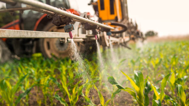 Best Ant Control Services  in Garden Grove, CA